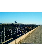 Ordway Feedyard